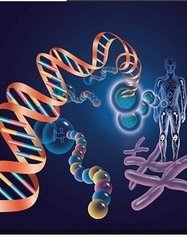 基因革命走入新时代――访人类基因组编写计划发起人之一杨璐菡