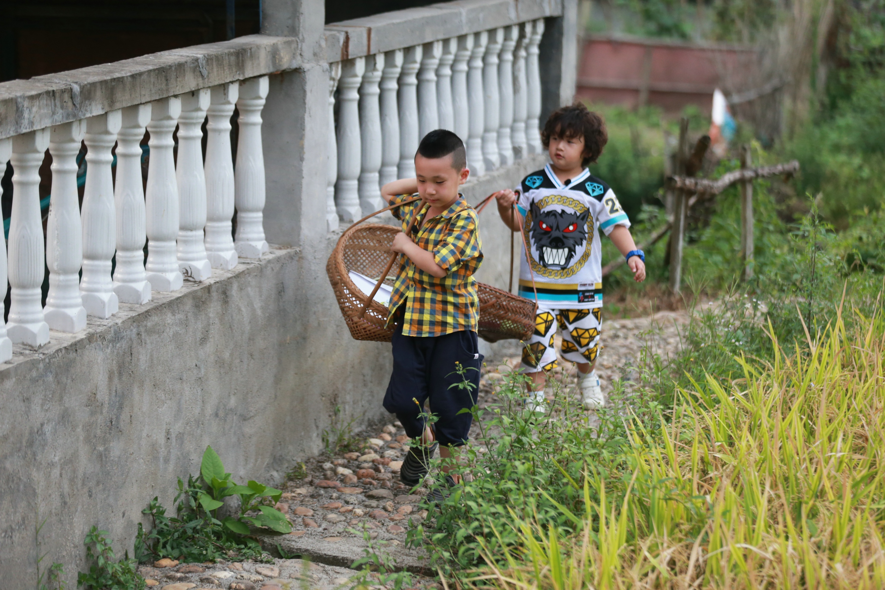 爸爸去哪儿第三季直播