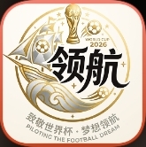领航国际